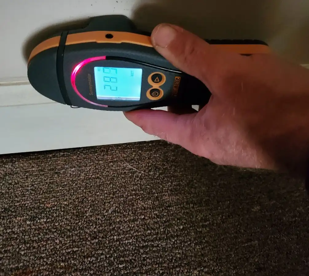 Moisture detection at baseboard during Burst Pipe Cleanup in Frederick
